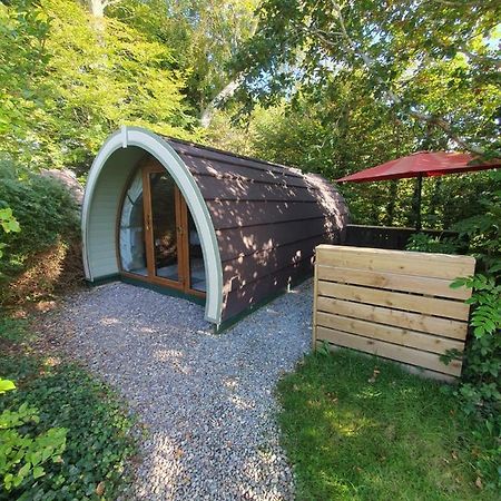 Priory Glamping Pods And Guest Accommodation Killarney Ngoại thất bức ảnh