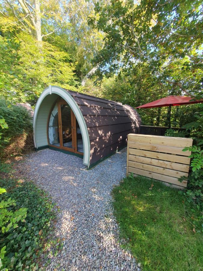 Priory Glamping Pods And Guest Accommodation Killarney Ngoại thất bức ảnh