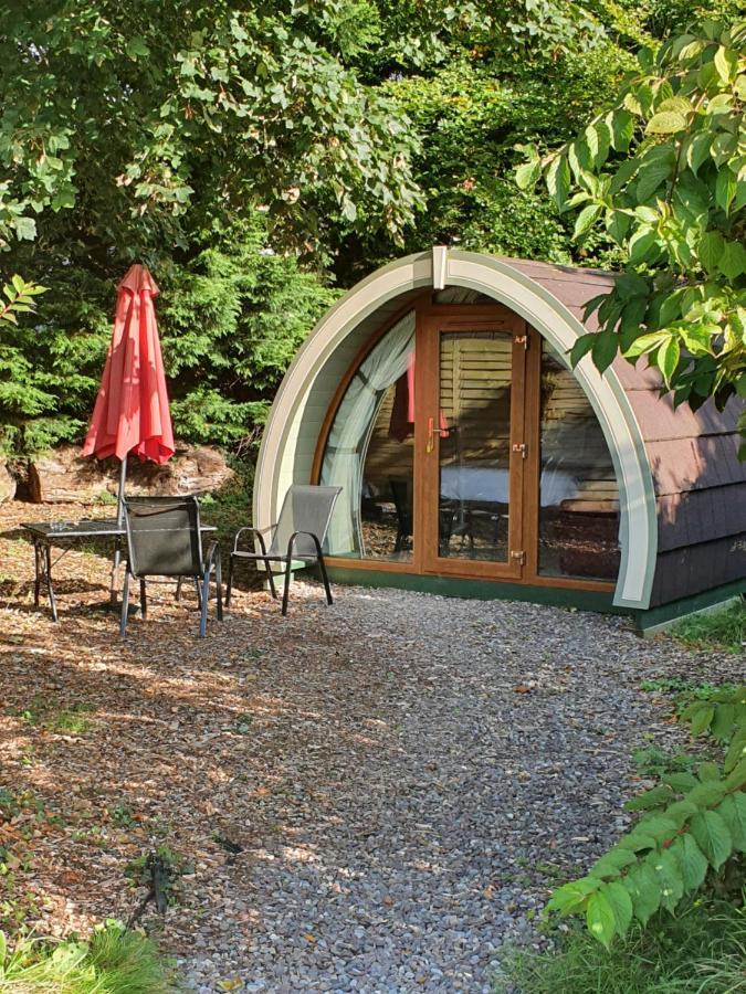 Priory Glamping Pods And Guest Accommodation Killarney Ngoại thất bức ảnh