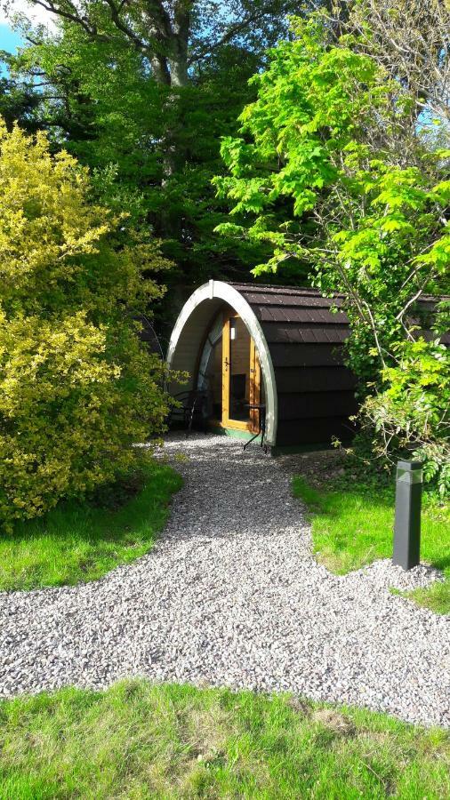 Priory Glamping Pods And Guest Accommodation Killarney Ngoại thất bức ảnh